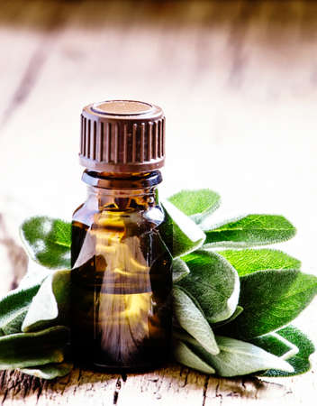 Essential sage oil, for aromatherapy, fresh sage leaves, vintage wooden background, selective focusの写真素材