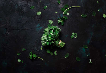 Fresh green oregano or Origanum vulgare in a beam, brown background, top viewの写真素材
