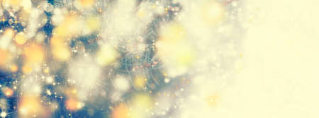 New Year or Christmas background with Christmas tree and colorful bokeh lights, selective focus