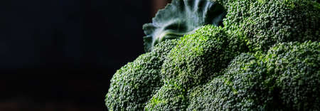 Big head of fresh green broccoli on dark rustic background, selective focus, minimalism, bannerの写真素材