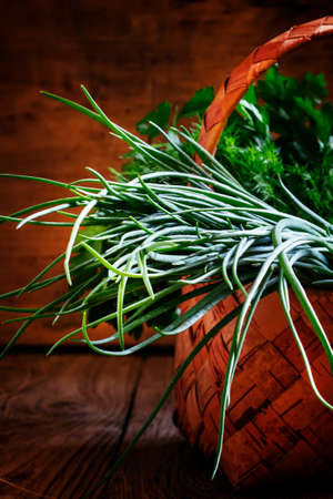 Green onions, vintage wooden background, selective focus, shallow depth of fieldの写真素材