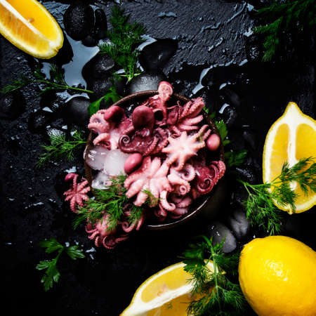 Small cooked octopus on ice with lemon and herbs, dark background, top viewの写真素材