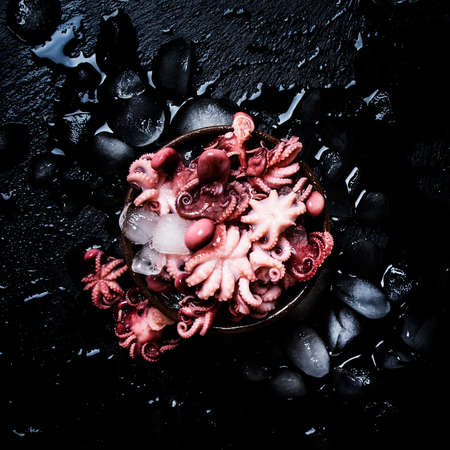Small red octopus on the black background, top view