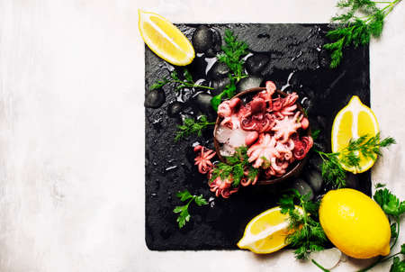 Small octopus with ice, lemon and herbs, black stone background, top viewの写真素材
