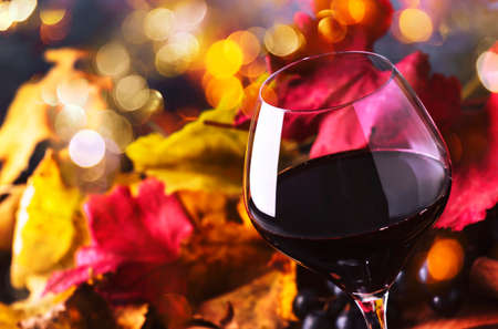Red wine in wine glass, autumn still life with red and yellow leaves, wine tasting, copy space, selective focusの写真素材