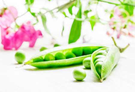 Green peas, twine vines and flowers on white wooden background, not isolated, macro shot, selective focusの写真素材