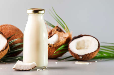 Coconut non dairy vegan milk in bottle with shell. Gray backgound with copy spaceの写真素材