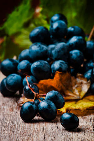 Blue wine grapes with vine and green leaves, rustic still life, vintage wooden background, selective focusの写真素材