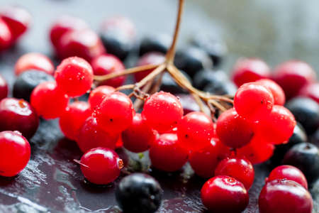 Cranberry, cranberries, cranberry and chokeberry on a dark stone wet background, selective focus and...