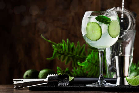 Royal mojito, alcoholic cocktail with white rum, prosecco, lime, mint and ice in wine glass with bar toolsの写真素材