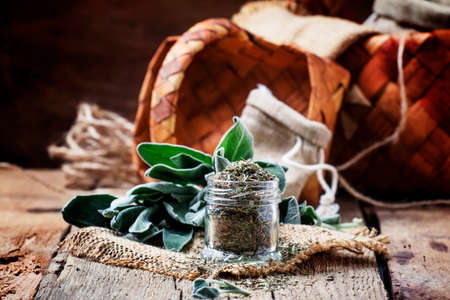 Dried and fresh sage, rustic style, vintage wooden background, selective focusの写真素材