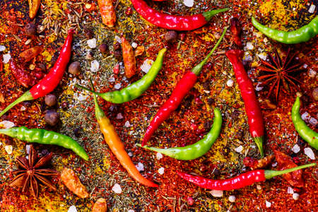 Spices and spicy chili peppers, top viewの写真素材