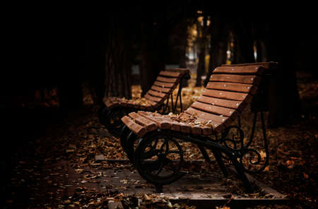 Empty wooden bench in a dark evening autumn park with fallen leaves, selective focusの写真素材