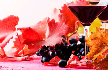 Semi-sweet red wine in large glasses, autumn still life with red and yellow leaves on pink background, selective focusの写真素材