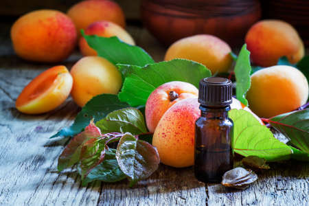 Essential oil of apricot pits, and fresh apricots with leaves, vintage wooden background, selective focusの写真素材