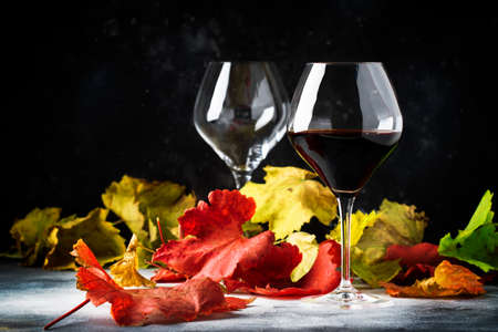 Dry red wine in large glass, autumn still life with red and yellow leaves on gray background, wine tasting, selective focusの写真素材