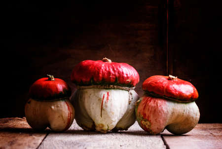 Decorative pumpkin, vintage wooden background, selective focusの写真素材