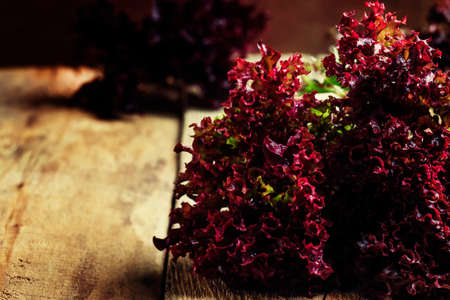 Burgundy lettuce, vintage wooden background, selective focus