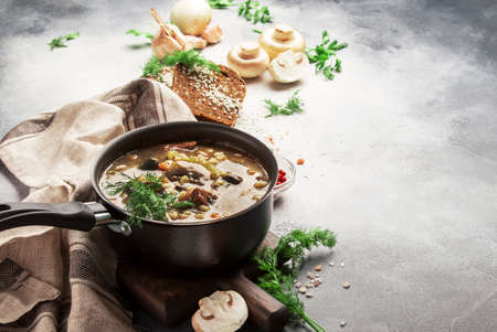 Autumn or winter meat vegetable mushroom hot soup with beef and wholegrain barley. With black brew...