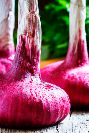 Huge red onion, vintage wooden background, selective focus