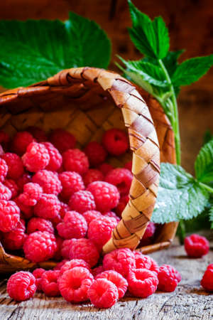 Fresh raspberries, selective focusの写真素材