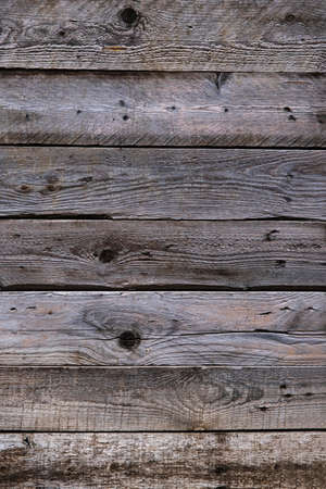 Wood Gray Boards texture or background. High contrast and resolution image with place for text. Template for designの写真素材