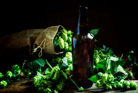 Beer with hops, dark wood background, selective focusの写真素材