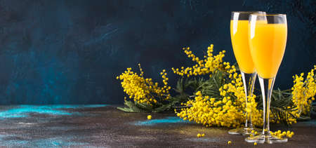 Classic alcohol cocktail mimosa with orange juice and cold dry champagne or sparkling wine in glasses, blue stone background with yellow flowers, copy space, spring mood, selective focusの写真素材