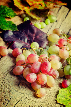 Autumn pink wine grape, vintage wooden background, selective focusの写真素材