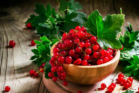 Bunches of red currant with leaves, selective focus