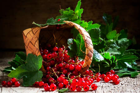 Red currant, dark vintage wooden background, selective focusの写真素材