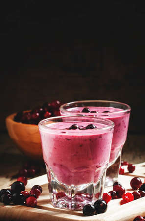Milk-Berry smoothie with cranberry, black currant and red currant in the big glasses, selective focusの写真素材
