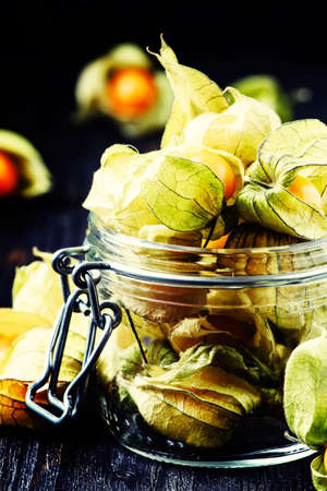 Dry physalis, dark background, selective focusの写真素材