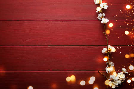 Red wooden background with flowering white apricot branchesの写真素材