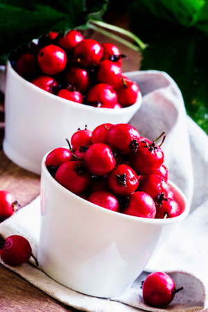 Fresh hawthorn berries in white porcelain bowls. Vintage wood background, selective focus.の写真素材