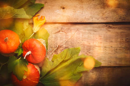 Autumn wooden background with pumpkins, top view, toned image with copy spaceの写真素材