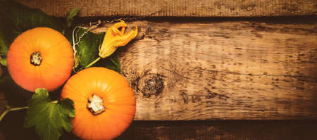 Autumn wooden background with pumpkins, top view, toned image with copy spaceの写真素材