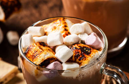 Hot cocoa or chocolate drink with marshmallow in glass mug and winter decoration on wooden table....