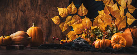 Thanksgiving Pumpkins Cinnamon And Pine Cones On Rustic Wooden Table Background - Autumn Thanksgiving Or Harvest Festival Conceptの写真素材