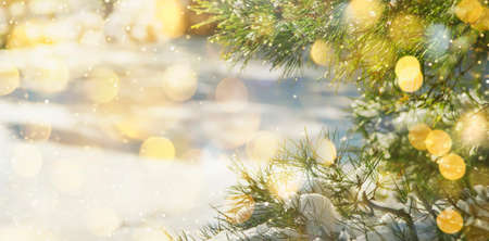 Happy New Year and Merry Christmas Background with Snow Pine Branches. Winter Natural Holiday...