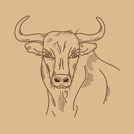 Cow or bull head. Hand drawn sketch in graphic style on brown background. Vintage vector illustrationのイラスト素材