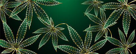 Cannabis or Marijuana golden leaves on deep green banner background. Vector illustration in line art styleのイラスト素材