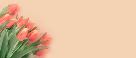 Spring Easter composition with pink tulips flowers on pastel background. Valentine's Day, Birthday, Happy Women's Day, Mother's Day concept. Flat lay, top view, copy spaceの写真素材