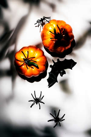 Happy Halloween white background with pumpkins, bats, spiders with copy space. Hard light and harsh...