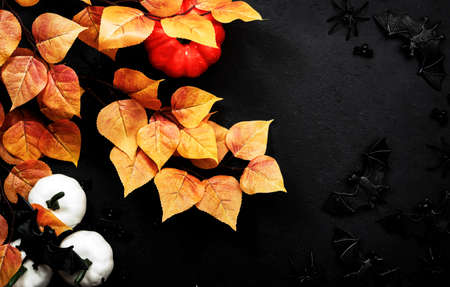 Happy Halloween black background with pumpkins, bats, spiders and orange leaves with copy space