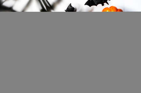Happy Halloween white background with pumpkins, bats, spiders with copy space. Hard light and harsh shadowsの写真素材