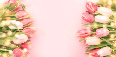 Spring Easter composition with pink tulips flowers on pastel background. Valentine's Day, Birthday,...