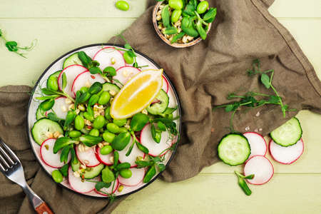 Spring salad plate with radish, cucumber, green pea, sunflower, soy and mung bean sprouts, edamame and flax seeds. Vegetarian vegan healthy food. Top view, green kitchen tableの写真素材