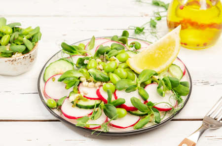 Fresh salad with radish, cucumber, green pea, sunflower, soy and mung bean sprouts, edamame and flax seeds. Vegetarian vegan healthy food. Top view, old white kitchen tableの写真素材
