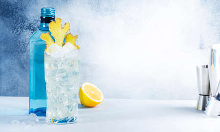Gin mule refreshing summer cocktail with dry gin, lemon, soda and ginger. Gray blue background with negative spaceの写真素材